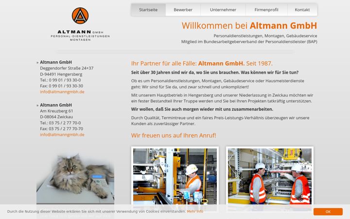 Screenshot of altmanngmbh.de