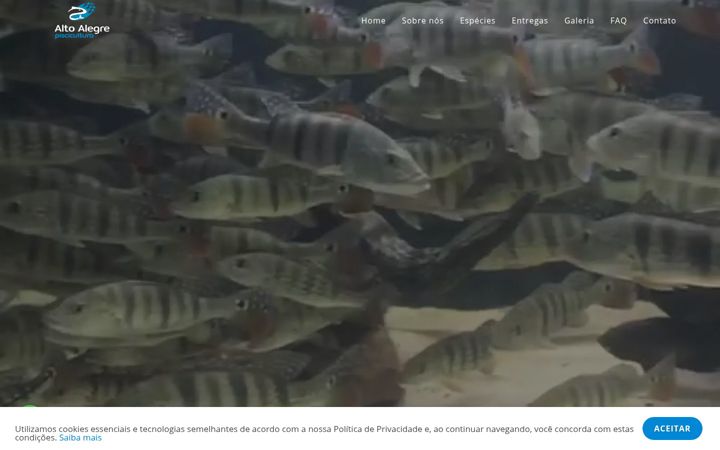 Screenshot of altoalegrepeixes.com.br