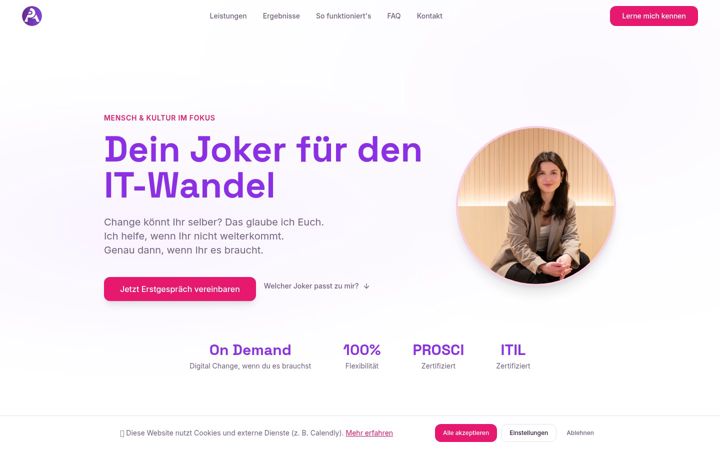 Screenshot of altsinger-consulting.de