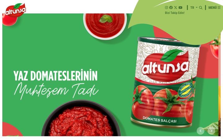 Screenshot of altunsa.com.tr