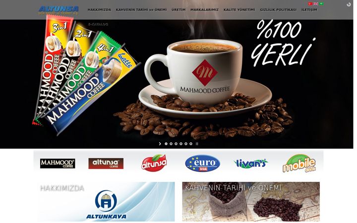 Screenshot of altunsagida.com