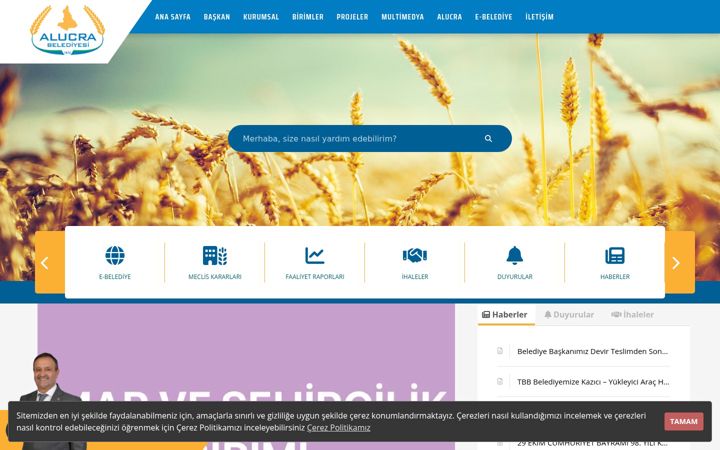 Screenshot of alucra.bel.tr