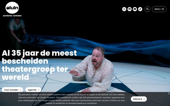 Screenshot of aluin.nl