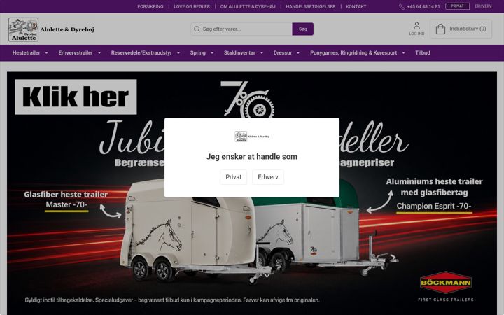 Screenshot of alulette.dk
