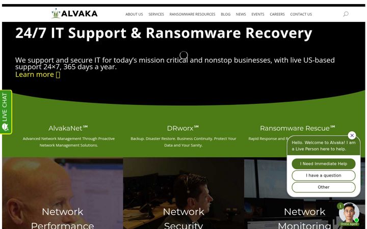 Zrzut ekranu alvakalead.com