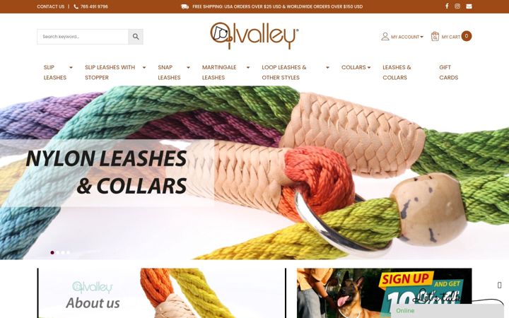 Zrzut ekranu alvalley.com