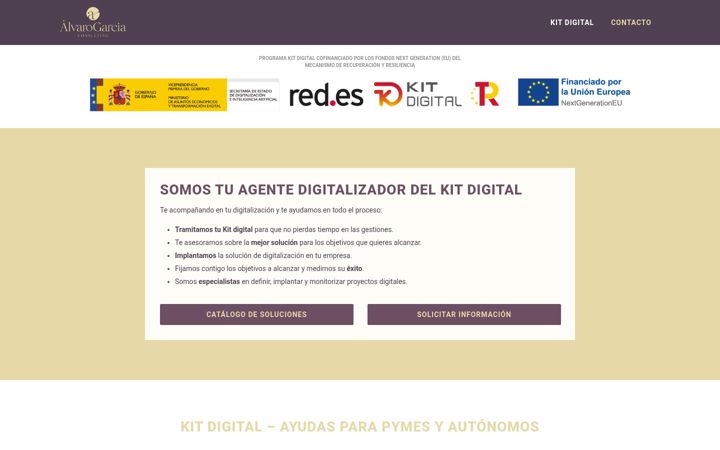 Ekraanipilt saidist alvarogarciaconsulting.com