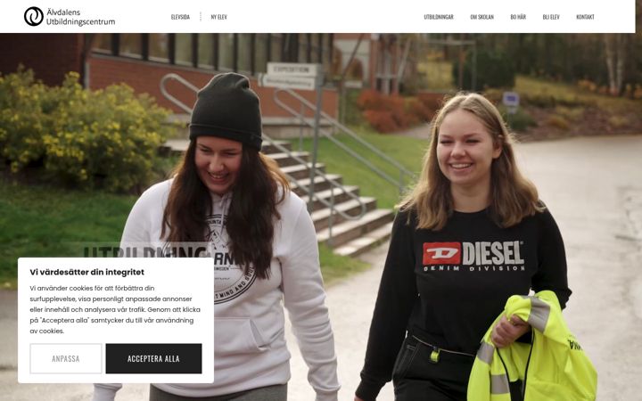 Screenshot of alvdalen.com