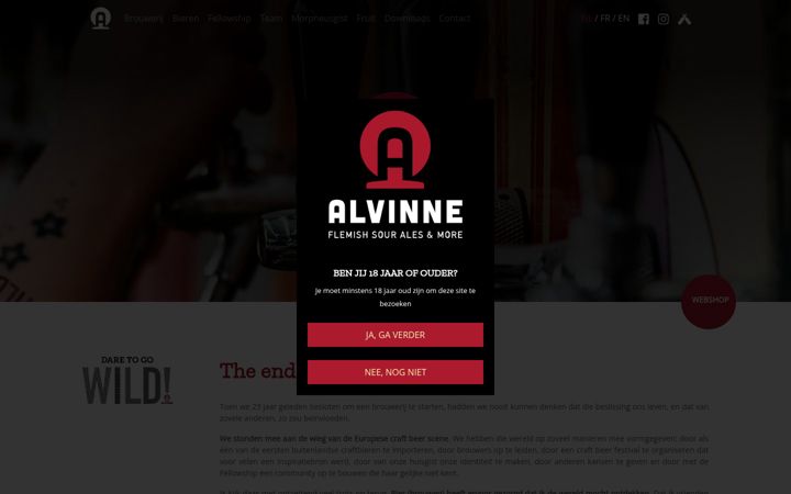 Screenshot of alvinne.com