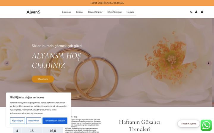 Screenshot of alyans.net.tr