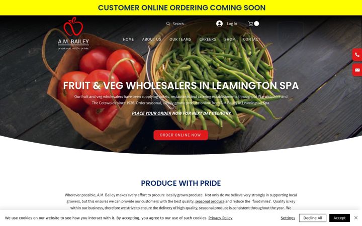 Screenshot of am-bailey.co.uk