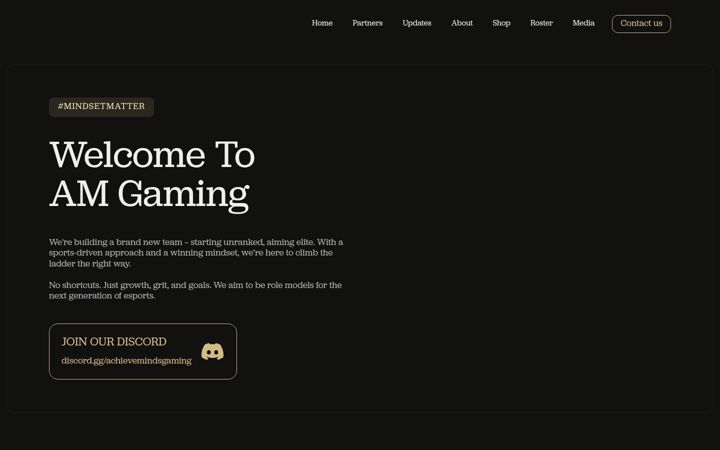 Screenshot of am-gaming.com