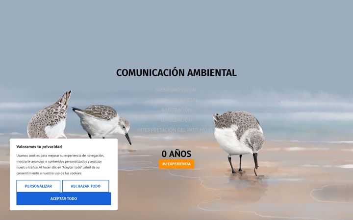 Screenshot of am-imagina.com
