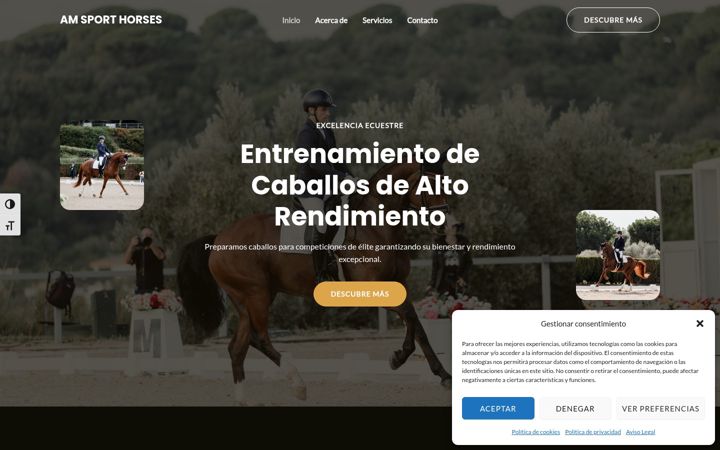 Screenshot ta' am-sport-horses.com