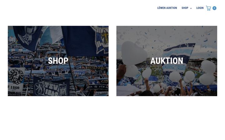 Screenshot of ama-lion.com