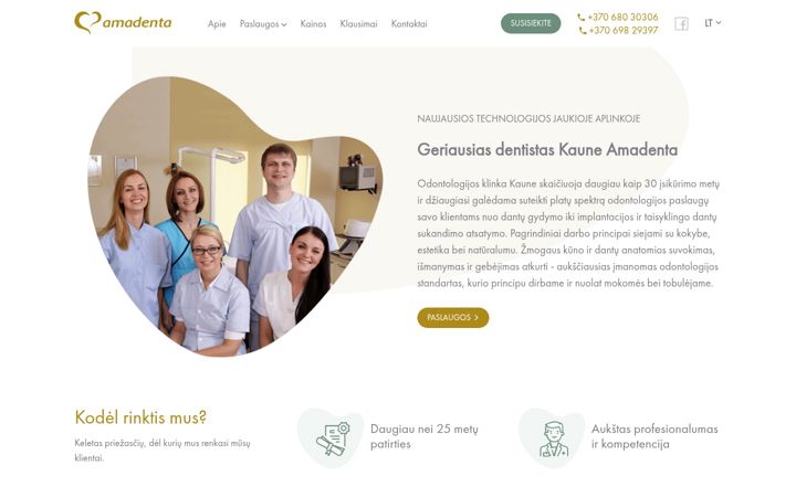 Screenshot of amadenta.lt