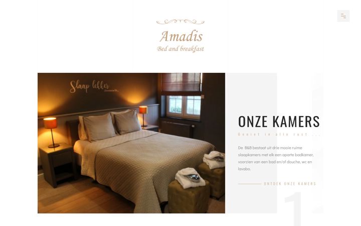 Screenshot of amadis-bnb.be