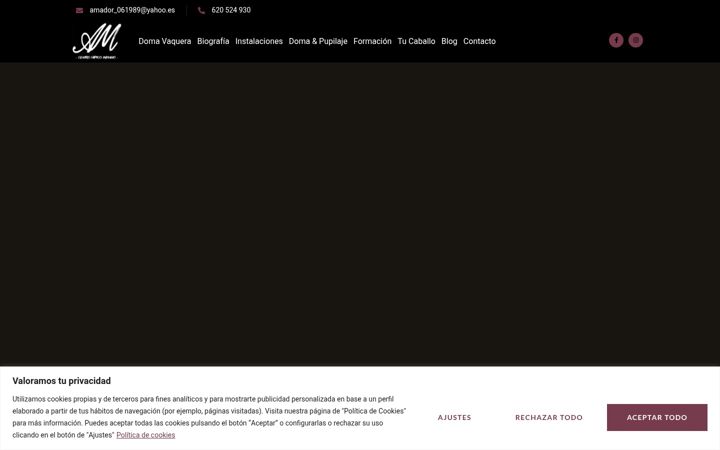 Screenshot di amadormartin.com