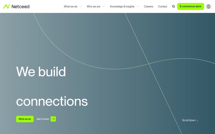 Screenshot di amadys.com