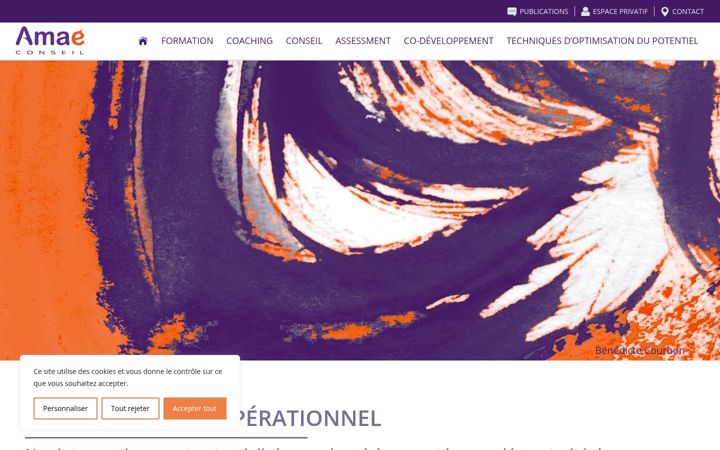 Screenshot of amae-conseil.fr