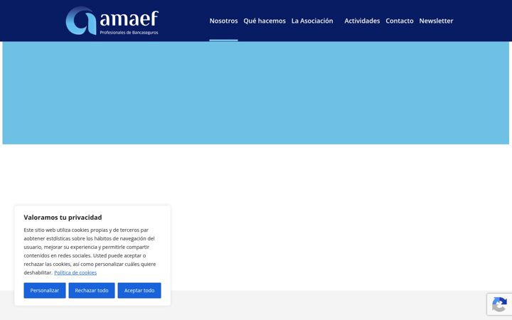 Screenshot of amaef.es