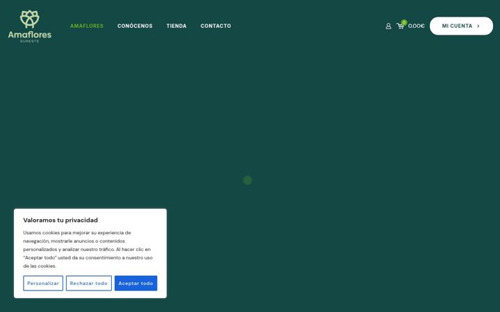 Screenshot of amaflores.es