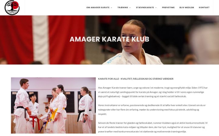 Screenshot of amagerkarate.com