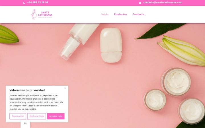 Screenshot of amaiacastresana.com