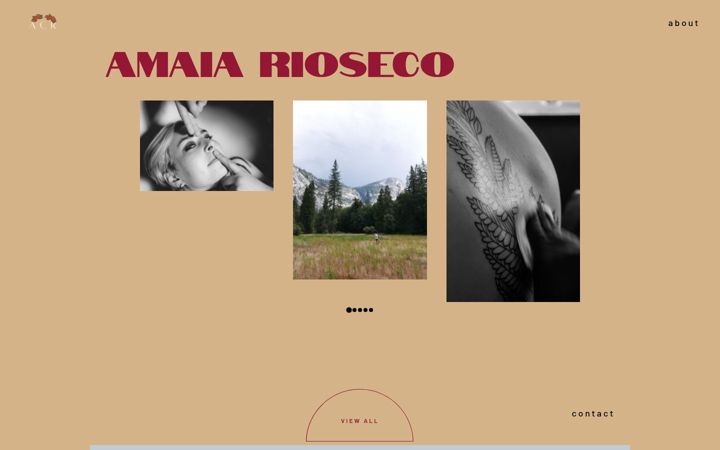 Screenshot of amaiarioseco.com