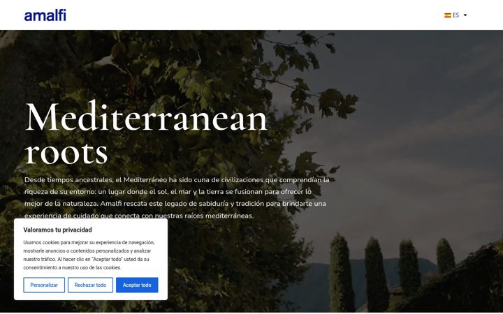Skärmbild av amalficare.com