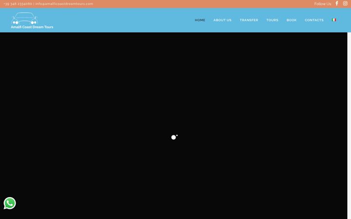 Screenshot of amalficoastdreamtours.com