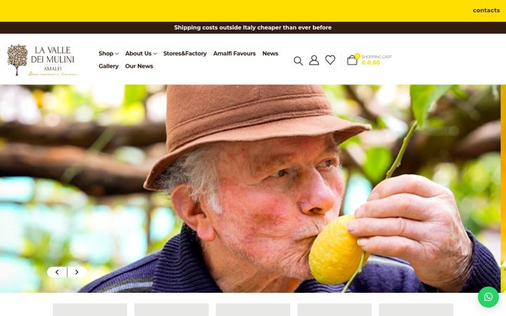Screenshot von amalfilemon.com