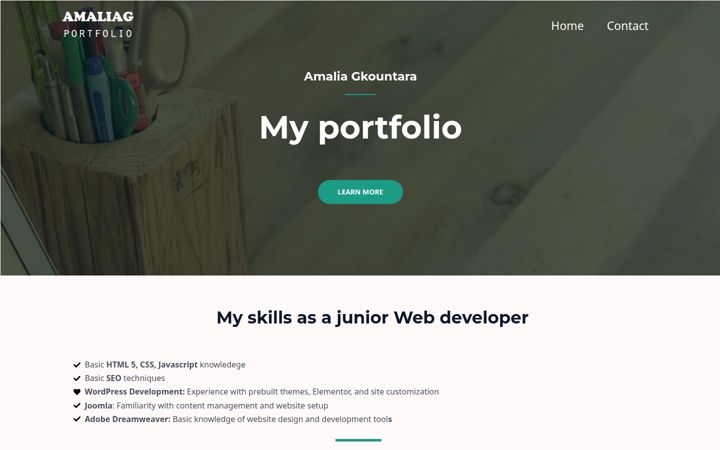 Screenshot of amaliagportfolio.com