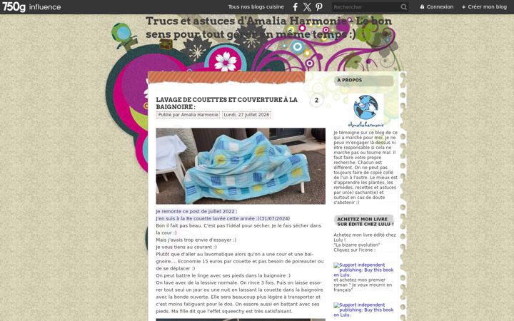 Screenshot of amaliaharmonie.fr