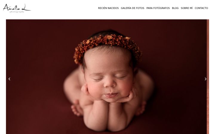 Zrzut ekranu amalialphotography.es