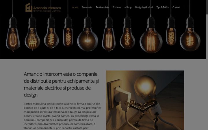 Screenshot of amancio.ro