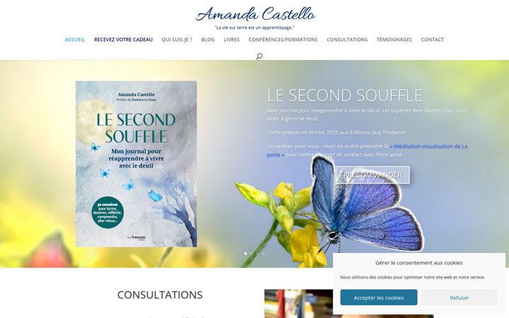 Screenshot of amanda-castello.com
