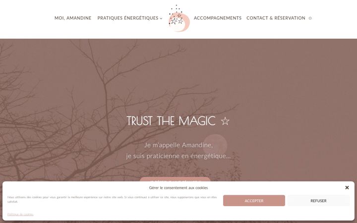 Screenshot of amandine-fima.com
