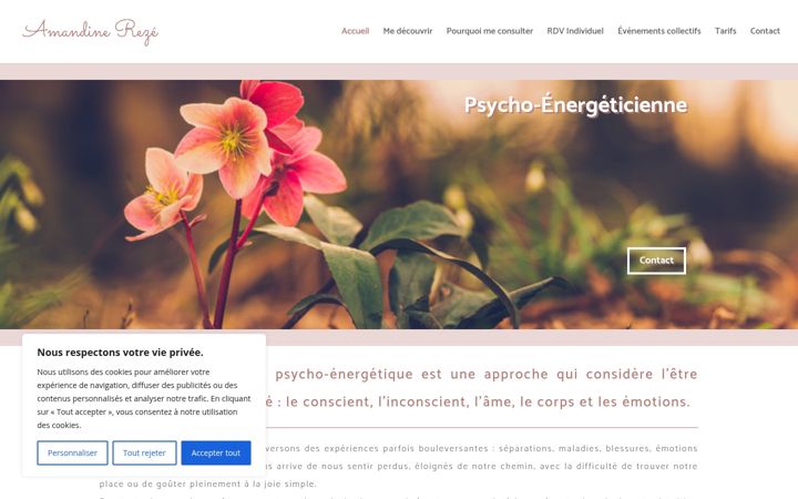 Screenshot of amandine-reze.fr