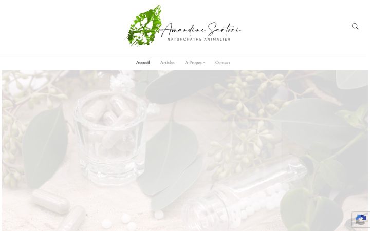 Screenshot of amandine-sartori.com
