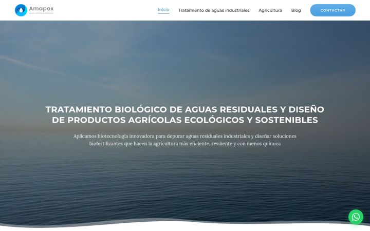 Screenshot of amapex.es