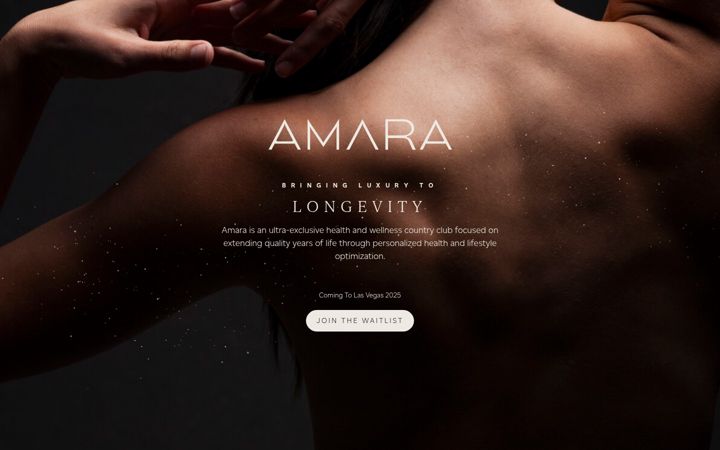 Screenshot of amaralv.com