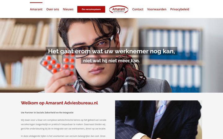 Zrzut ekranu amarantadviesbureau.nl