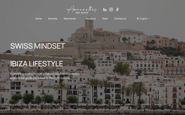 Screenshot of amaranthus-realestate.com