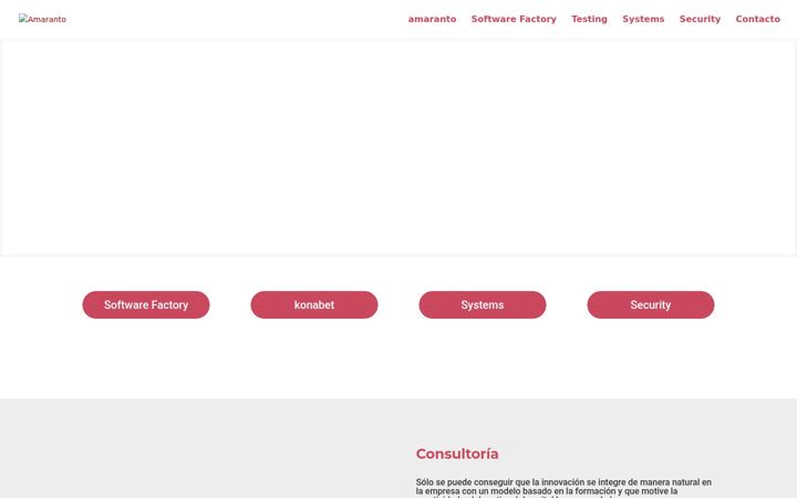 Screenshot of amarantocompany.com