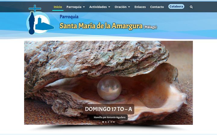 Screenshot of amarguramalaga.es