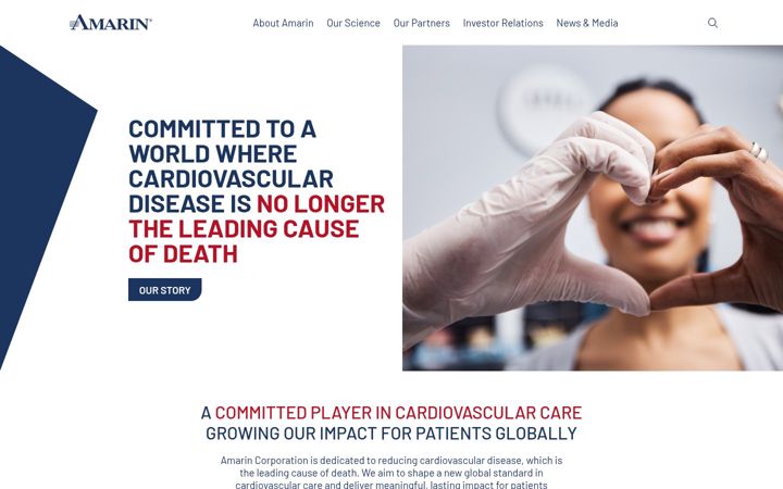 Screenshot of amarincorp.com