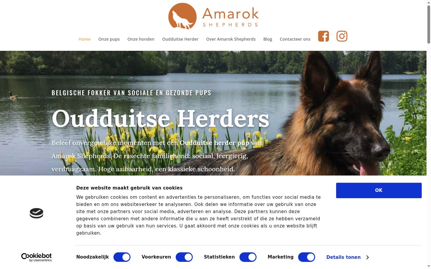Screenshot tal-banner tal-kunsens muri qabel kwalunkwe interazzjoni