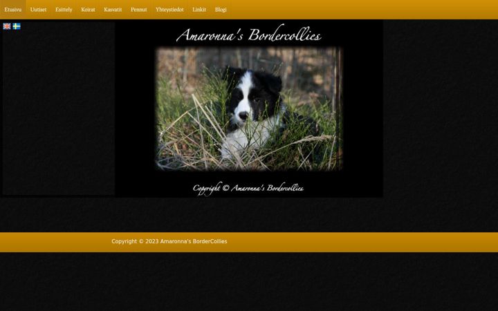 Screenshot of amaronnas.com