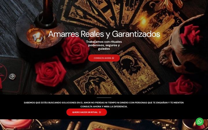 Screenshot of amarreseguros.com